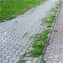 Awatar użytkownika